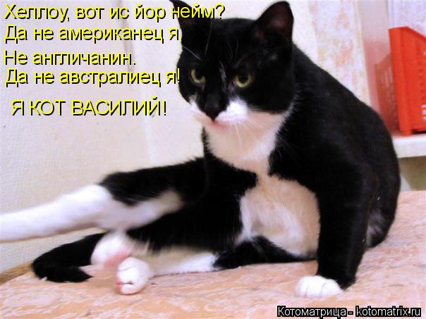 Да не американец я, Не англичанин. Да не австралиец я! Я КОТ ВАСИЛИЙ! Хеллоу, вот ис йор нейм?... Котоматрица: Да не американец я, Не англичанин. Да не австралиец я! Я КОТ ВАСИЛИЙ! Хеллоу, вот ис йор нейм?
