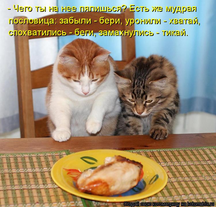 - Чего ты на нее пялишься? Есть же мудрая пословица: забыли - бери, уронили - хватай, спохватились -... Котоматрица: - Чего ты на нее пялишься? Есть же мудрая пословица: забыли - бери, уронили - хватай, спохватились - беги, замахнулись - тикай.