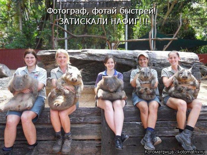 Фотограф, фотай быстрей! ЗАТИСКАЛИ НАФИГ!!!... Котоматрица: Фотограф, фотай быстрей! ЗАТИСКАЛИ НАФИГ!!!