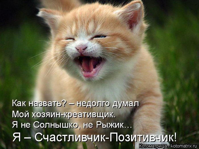 Как назвать? – недолго думал Мой хозяин-креативщик. Я не Солнышко, не Рыжик… Я – Счастливчик-Позитивч... Котоматрица: Как назвать? – недолго думал Мой хозяин-креативщик. Я не Солнышко, не Рыжик… Я – Счастливчик-Позитивчик!