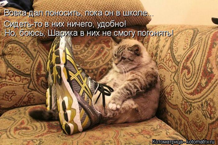 Вовка дал поносить, пока он в школе... Сидеть-то в них ничего, удобно! Но, боюсь, Шарика в них не смо... Котоматрица: Вовка дал поносить, пока он в школе... Сидеть-то в них ничего, удобно! Но, боюсь, Шарика в них не смогу погонять!
