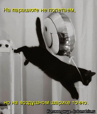 На парашюте не полетаем, но на воздушном шарике точно.... Котоматрица: На парашюте не полетаем, но на воздушном шарике точно.