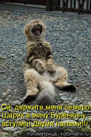 Ой, держите меня семеро!!! Шарик в мину Бурёнкину вступил! Двумя лапами!!!... Котоматрица: Ой, держите меня семеро!!! Шарик в мину Бурёнкину вступил! Двумя лапами!!!
