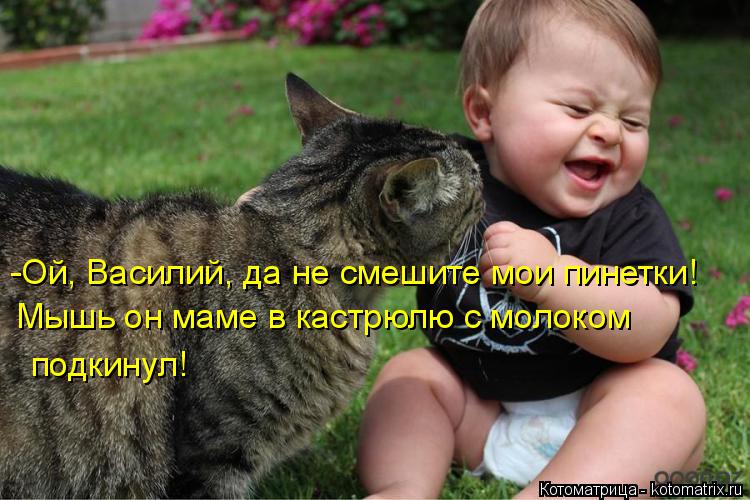 -Ой, Василий, да не смешите мои пинетки! Мышь он маме в кастрюлю с молоком подкинул!... Котоматрица: -Ой, Василий, да не смешите мои пинетки! Мышь он маме в кастрюлю с молоком подкинул!