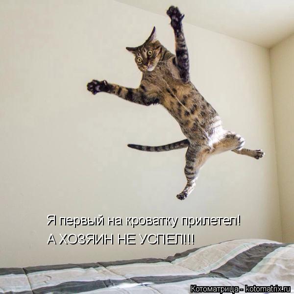 Я первый на кроватку прилетел! А ХОЗЯИН НЕ УСПЕЛ!!!... Котоматрица: Я первый на кроватку прилетел! А ХОЗЯИН НЕ УСПЕЛ!!!