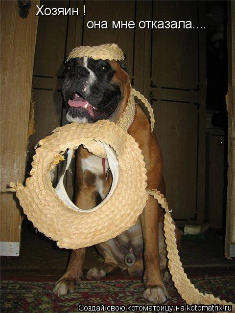 Хозяин ! она мне отказала....... Котоматрица: Хозяин ! она мне отказала....