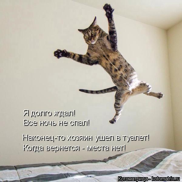 Наконец-то хозяин ушел в туалет! Когда вернется - места нет! Все ночь не спал! Я долго ждал!... Котоматрица: Наконец-то хозяин ушел в туалет! Когда вернется - места нет! Все ночь не спал! Я долго ждал!