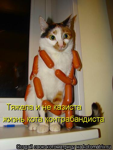 Тяжела и не казиста жизнь кота контрабандиста... Котоматрица: Тяжела и не казиста жизнь кота контрабандиста