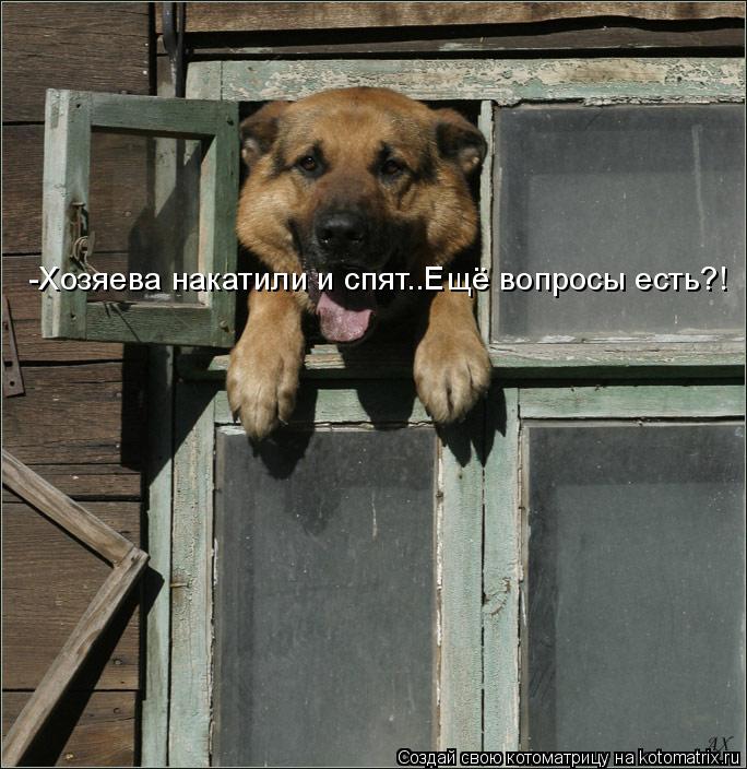 -Хозяева накатили и спят..Ещё вопросы есть?!... Котоматрица: -Хозяева накатили и спят..Ещё вопросы есть?!