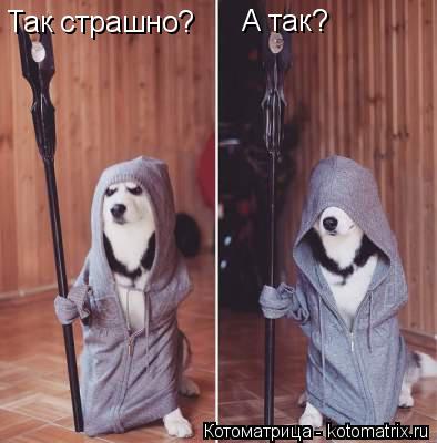 Так страшно? А так?... Котоматрица: Так страшно? А так?