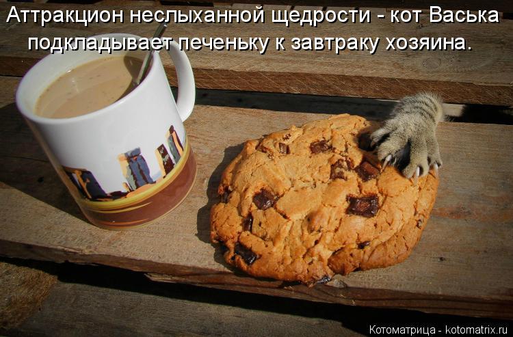 Аттракцион неслыханной щедрости - кот Васька подкладывает печеньку к завтраку хозяина.... Котоматрица: Аттракцион неслыханной щедрости - кот Васька подкладывает печеньку к завтраку хозяина.