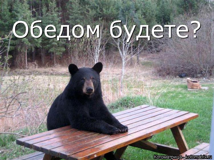 Обедом будете?... Котоматрица: Обедом будете?