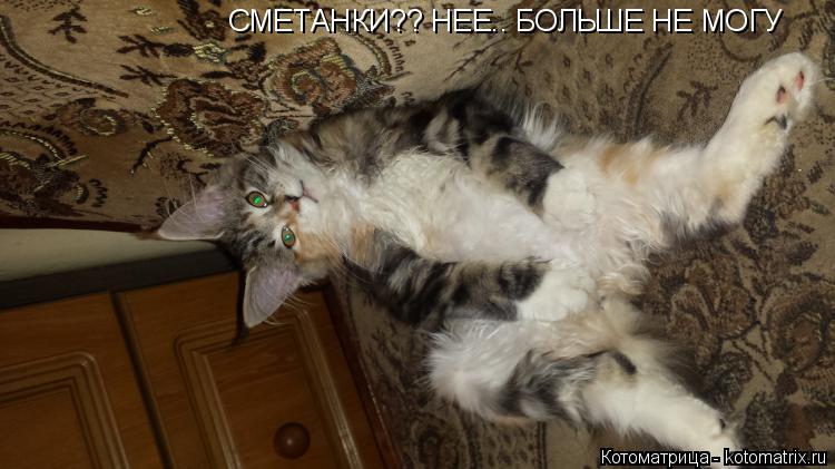 СМЕТАНКИ?? НЕЕ.. БОЛЬШЕ НЕ МОГУ... Котоматрица: СМЕТАНКИ?? НЕЕ.. БОЛЬШЕ НЕ МОГУ