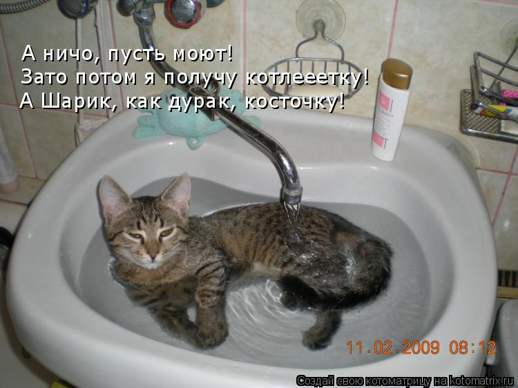 А ничо, пусть моют! Зато потом я получу котлееетку! А Шарик, как дурак, косточку!... Котоматрица: А ничо, пусть моют! Зато потом я получу котлееетку! А Шарик, как дурак, косточку!