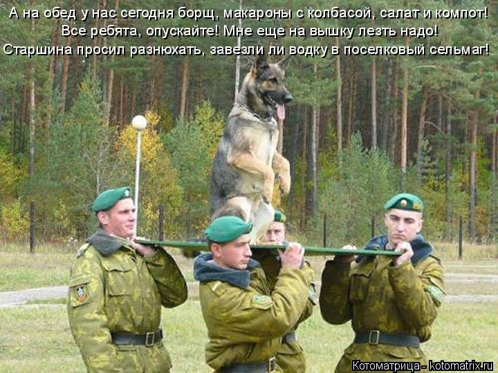 А на обед у нас сегодня борщ, макароны с колбасой, салат и компот! Все ребята, опускайте! Мне еще на ... Котоматрица: А на обед у нас сегодня борщ, макароны с колбасой, салат и компот! Все ребята, опускайте! Мне еще на вышку лезть надо! Старшина просил разнюха