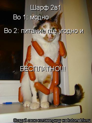 Шарф 2в1 Во 1: модно Во 2: питание где угодно и БЕСПЛАТНО!!!... Котоматрица: Шарф 2в1 Во 1: модно Во 2: питание где угодно и БЕСПЛАТНО!!!
