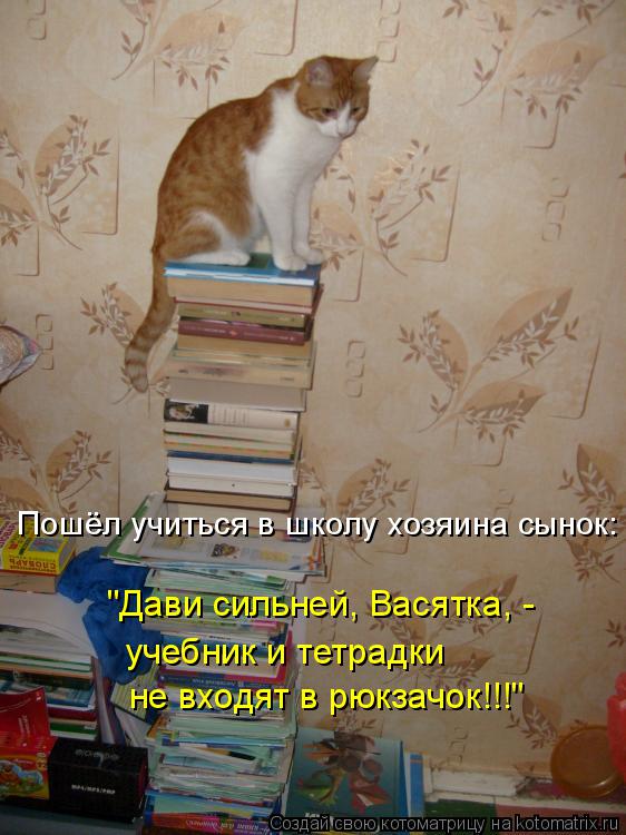 Пошёл учиться в школу хозяина сынок: "Дави сильней, Васятка, - учебник и тетрадки не входят в рюкзач... Котоматрица: Пошёл учиться в школу хозяина сынок: "Дави сильней, Васятка, - учебник и тетрадки не входят в рюкзачок!!!"