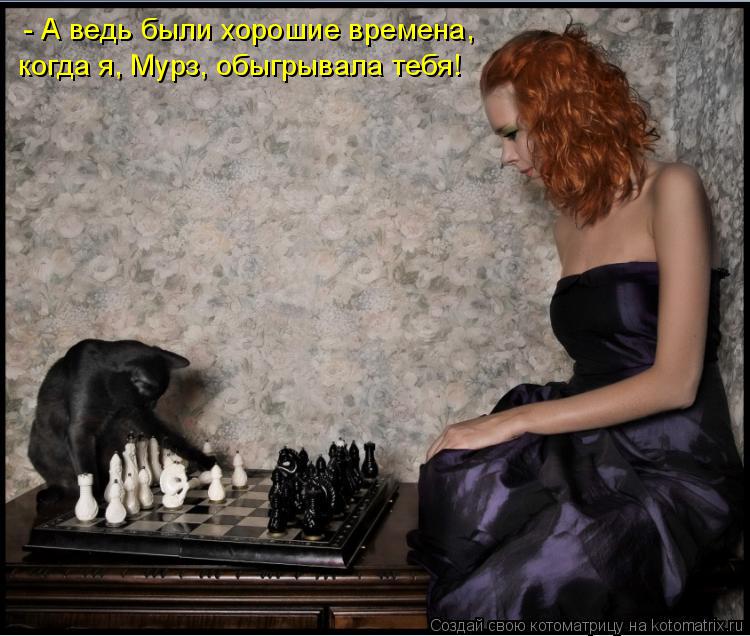 - А ведь были хорошие времена, когда я, Мурз, обыгрывала тебя!... Котоматрица: - А ведь были хорошие времена, когда я, Мурз, обыгрывала тебя!