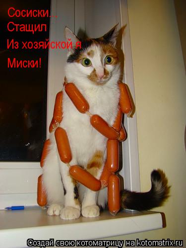 Сосиски... Стащил Из хозяйской я Миски!... Котоматрица: Сосиски... Стащил Из хозяйской я Миски!