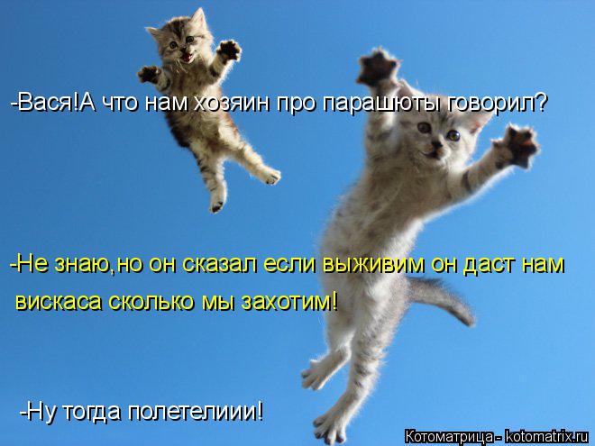 -Вася!А что нам хозяин про парашюты говорил? -Не знаю,но он сказал если выживим он даст нам вискаса с... Котоматрица: -Вася!А что нам хозяин про парашюты говорил? -Не знаю,но он сказал если выживим он даст нам вискаса сколько мы захотим! -Ну тогда полетелиии!