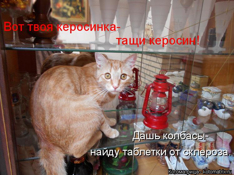 Вот твоя керосинка- найду таблетки от склероза. тащи керосин! Дашь колбасы-... Котоматрица: Вот твоя керосинка- найду таблетки от склероза. тащи керосин! Дашь колбасы-