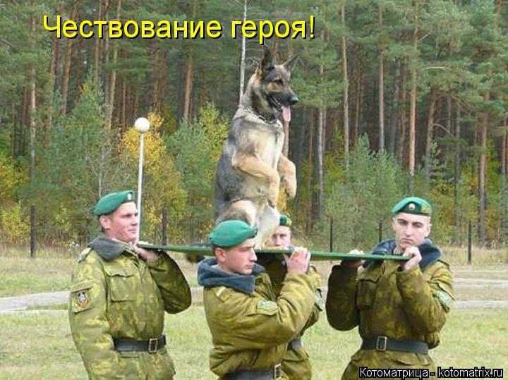 Чествование героя!... Котоматрица: Чествование героя!