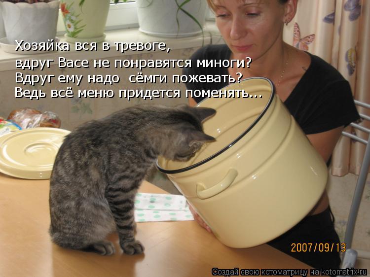 Хозяйка вся в тревоге, вдруг Васе не понравятся миноги? Вдруг ему надо сёмги пожевать? Ведь всё меню... Котоматрица: Хозяйка вся в тревоге, вдруг Васе не понравятся миноги? Вдруг ему надо сёмги пожевать? Ведь всё меню придется поменять...