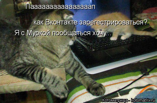 Паааааааааааааааап как Вконтакте зарегестрироваться? Я с Муркой пообщаться хочу...... Котоматрица: Паааааааааааааааап как Вконтакте зарегестрироваться? Я с Муркой пообщаться хочу...