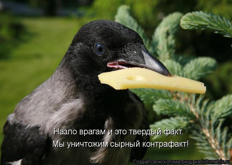 Мы уничтожим сырный контрафакт! Назло врагам и это твердый факт.... Котоматрица: Мы уничтожим сырный контрафакт! Назло врагам и это твердый факт.