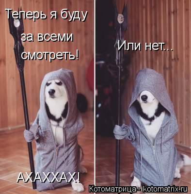 Теперь я буду за всеми смотреть! АХАХХАХ! Или нет...... Котоматрица: Теперь я буду за всеми смотреть! АХАХХАХ! Или нет...