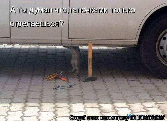 А ты думал что,тапочками только отделаешься?... Котоматрица: А ты думал что,тапочками только отделаешься?