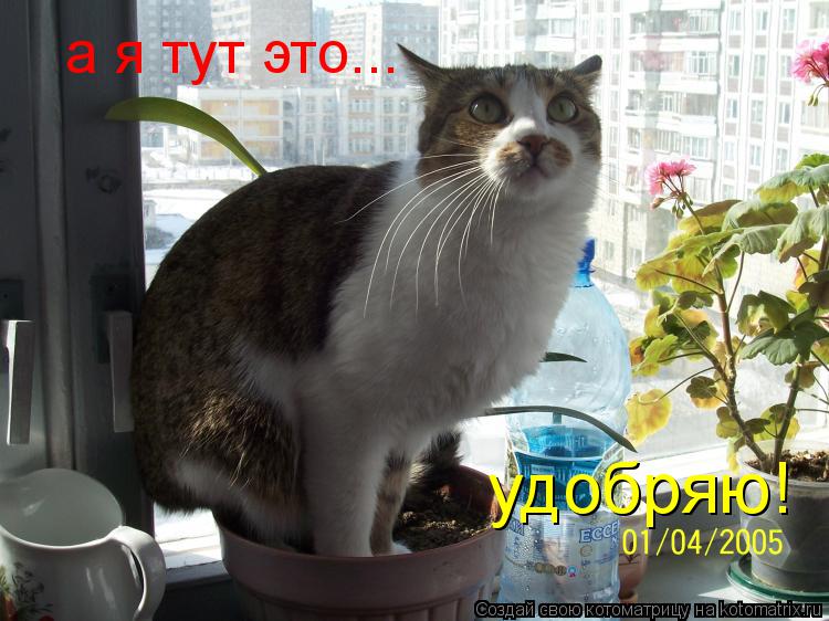 а я тут это... удобряю!... Котоматрица: а я тут это... удобряю!