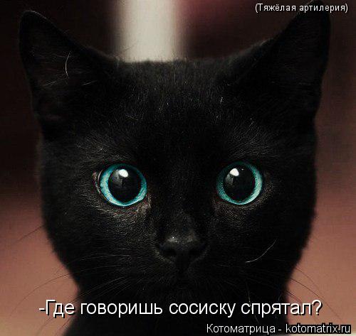 (Тяжёлая артилерия) -Где говоришь сосиску спрятал?... Котоматрица: (Тяжёлая артилерия) -Где говоришь сосиску спрятал?