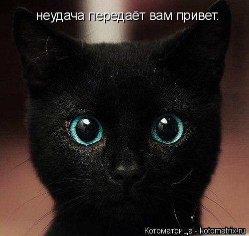 неудача передаёт вам привет.... Котоматрица: неудача передаёт вам привет.