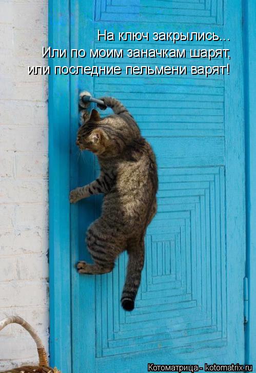 На ключ закрылись... Или по моим заначкам шарят, или последние пельмени варят!... Котоматрица: На ключ закрылись... Или по моим заначкам шарят, или последние пельмени варят!