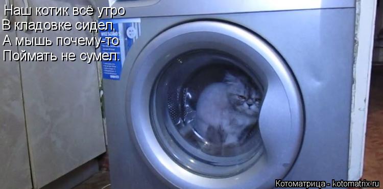 Наш котик всё утро В кладовке сидел, А мышь почему-то Поймать не сумел.... Котоматрица: Наш котик всё утро В кладовке сидел, А мышь почему-то Поймать не сумел.