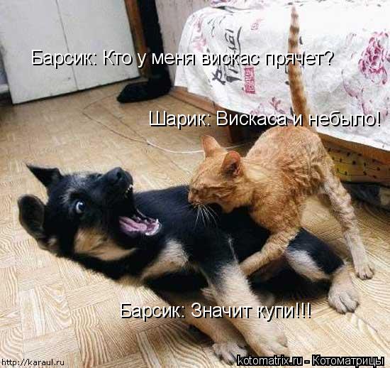 Барсик: Кто у меня вискас прячет? Шарик: Вискаса и небыло! Барсик: Значит купи!!!... Котоматрица: Барсик: Кто у меня вискас прячет? Шарик: Вискаса и небыло! Барсик: Значит купи!!!