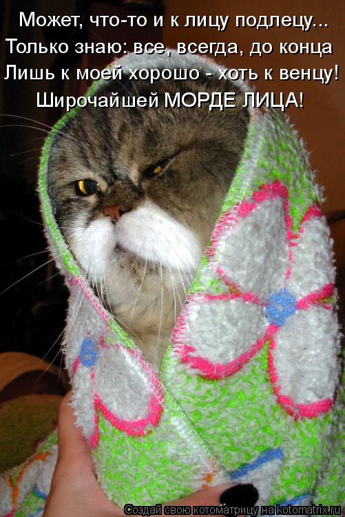 Может, что-то и к лицу подлецу... Только знаю: все, всегда, до конца Лишь к моей хорошо - хоть к венц... Котоматрица: Может, что-то и к лицу подлецу... Только знаю: все, всегда, до конца Лишь к моей хорошо - хоть к венцу! Широчайшей МОРДЕ ЛИЦА!