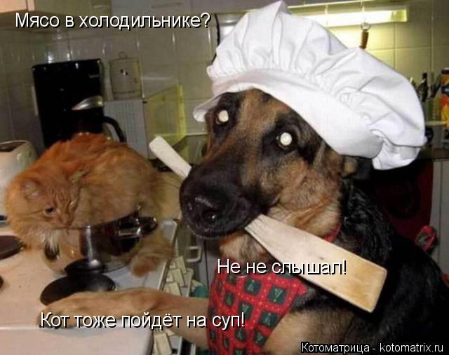 Мясо в холодильнике? Не не слышал! Кот тоже пойдёт на суп!... Котоматрица: Мясо в холодильнике? Не не слышал! Кот тоже пойдёт на суп!