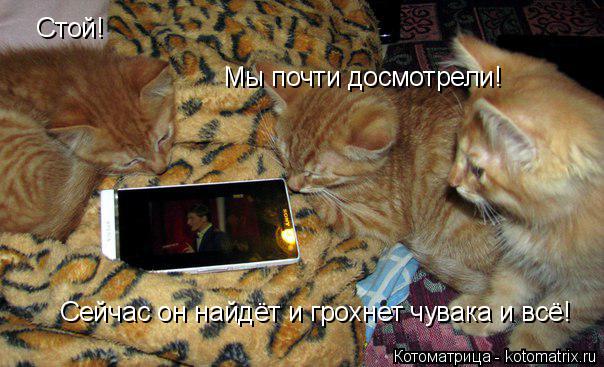 Стой! Мы почти досмотрели! Сейчас он найдёт и грохнет чувака и всё!... Котоматрица: Стой! Мы почти досмотрели! Сейчас он найдёт и грохнет чувака и всё!