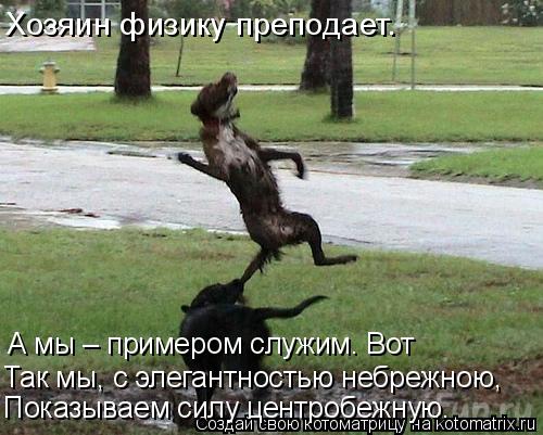 Хозяин физику преподает. Показываем силу центробежную. А мы – примером служим. Вот Так мы, с элегант... Котоматрица: Хозяин физику преподает. Показываем силу центробежную. А мы – примером служим. Вот Так мы, с элегантностью небрежною,