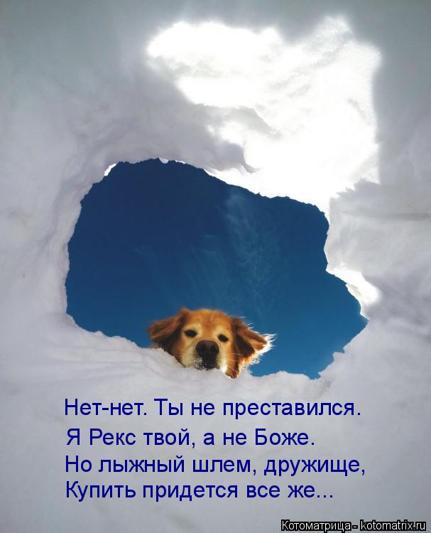 Нет-нет. Ты не преставился. Я Рекс твой, а не Боже. Но лыжный шлем, дружище, Купить придется все же..... Котоматрица: Нет-нет. Ты не преставился. Я Рекс твой, а не Боже. Но лыжный шлем, дружище, Купить придется все же...