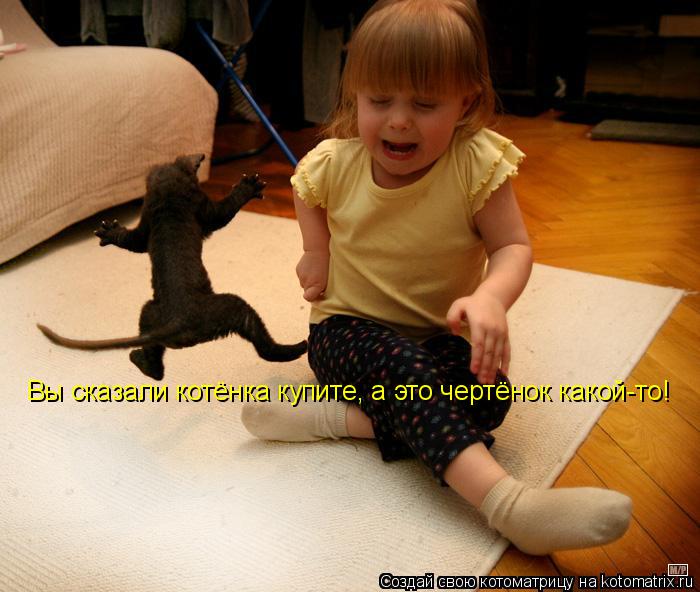 Котоматрица: Вы сказали котёнка купите, а это чертёнок какой-то!