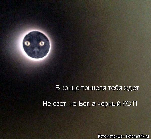 В конце тоннеля тебя ждет Не свет, не Бог, а черный КОТ!... Котоматрица: В конце тоннеля тебя ждет Не свет, не Бог, а черный КОТ!