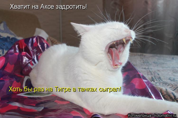 Хватит на Аксе задротить! Хоть бы раз на Тигре в танках сыграл!... Котоматрица: Хватит на Аксе задротить! Хоть бы раз на Тигре в танках сыграл!