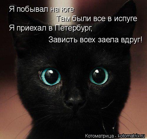 Я побывал на юге Там были все в испуге Я приехал в Петербург, Зависть всех заела вдруг!... Котоматрица: Я побывал на юге Там были все в испуге Я приехал в Петербург, Зависть всех заела вдруг!