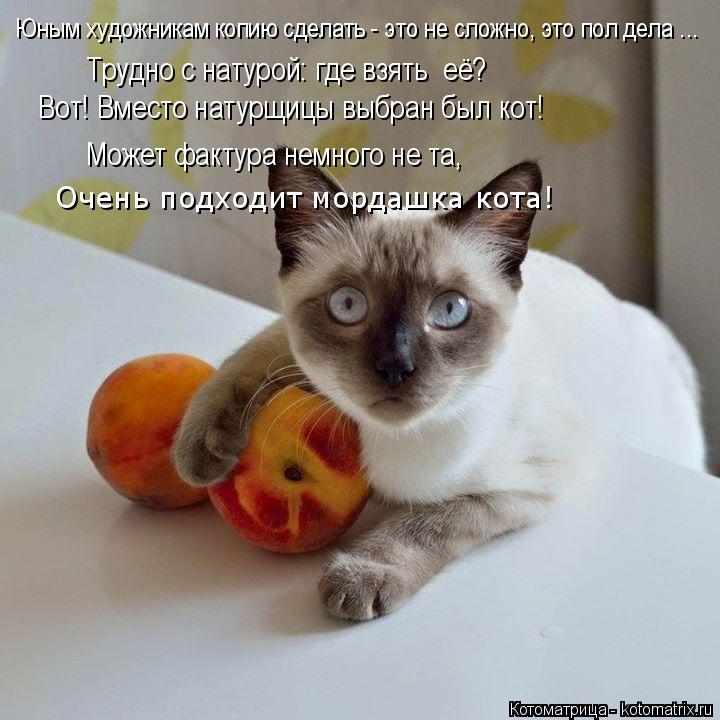Очень подходит мордашка кота! Юным художникам копию сделать - это не сложно, это пол дела ... Трудно ... Котоматрица: Очень подходит мордашка кота! Юным художникам копию сделать - это не сложно, это пол дела ... Трудно с натурой: где взять её? Вот! Вместо натур
