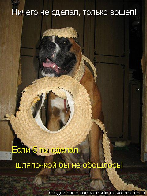 Ничего не сделал, только вошел! Если б ты сделал, шляпочкой бы не обошлось!... Котоматрица: Ничего не сделал, только вошел! Если б ты сделал, шляпочкой бы не обошлось!