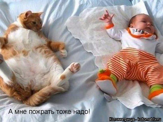 А мне пожрать тоже надо!... Котоматрица: А мне пожрать тоже надо!