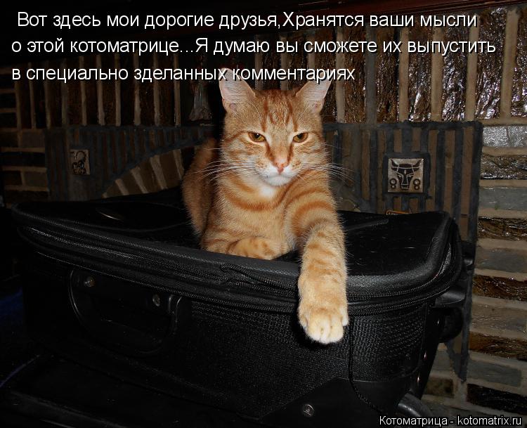 Вот здесь мои дорогие друзья,Хранятся ваши мысли о этой котоматрице...Я думаю вы сможете их выпустить... Котоматрица: Вот здесь мои дорогие друзья,Хранятся ваши мысли о этой котоматрице...Я думаю вы сможете их выпустить в специально зделанных комментариях
